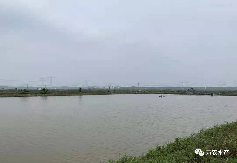 良之隆团队携客户来访万农水产基地深入考察交流
