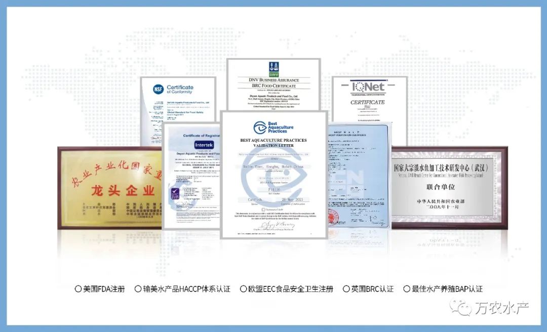 万农水产新品亮相长沙湘菜节，鮰鱼预制菜有望成为行业爆品